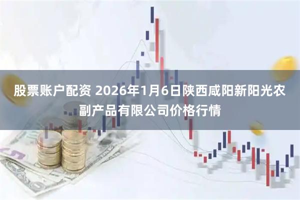股票账户配资 2026年1月6日陕西咸阳新阳光农副产品有限公司价格行情